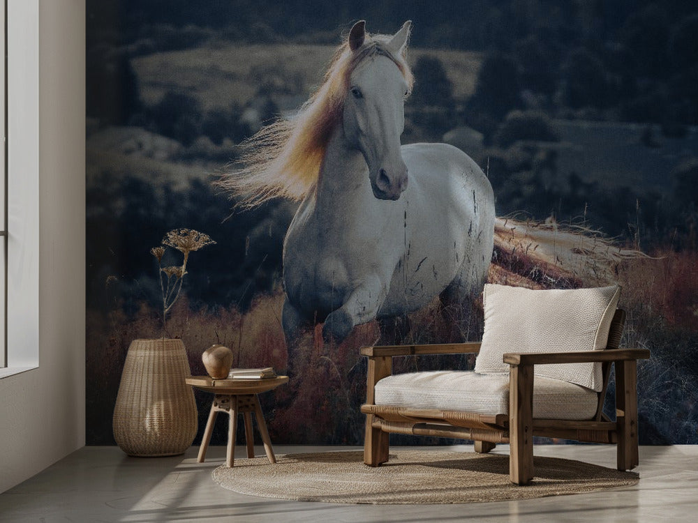 A short story about sunrise - Vit häst i soluppgång tapet