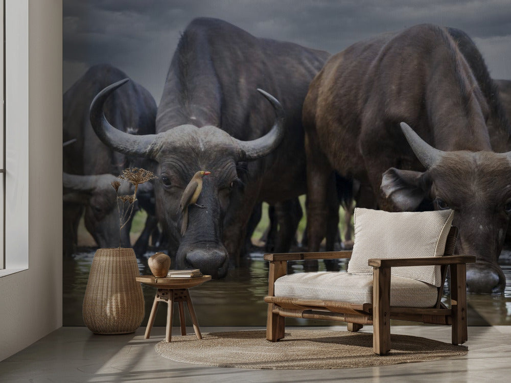 The Herd & the Oxpecker