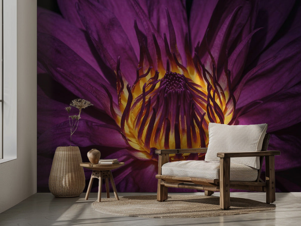 Radiant Purple Lotus – Fototapet med purpurfärgad lotus i makro
