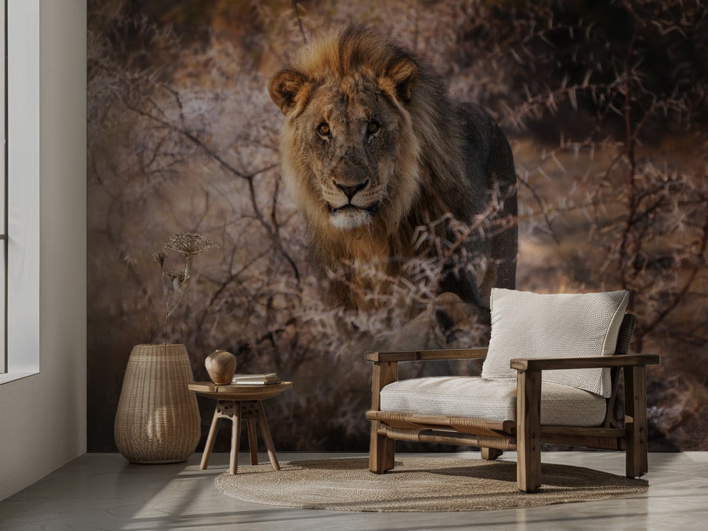 The King - majestätiskt lejonfototapet med gyllene toner