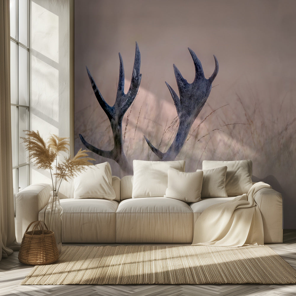 Hide & Seek ( Horn of Stag)