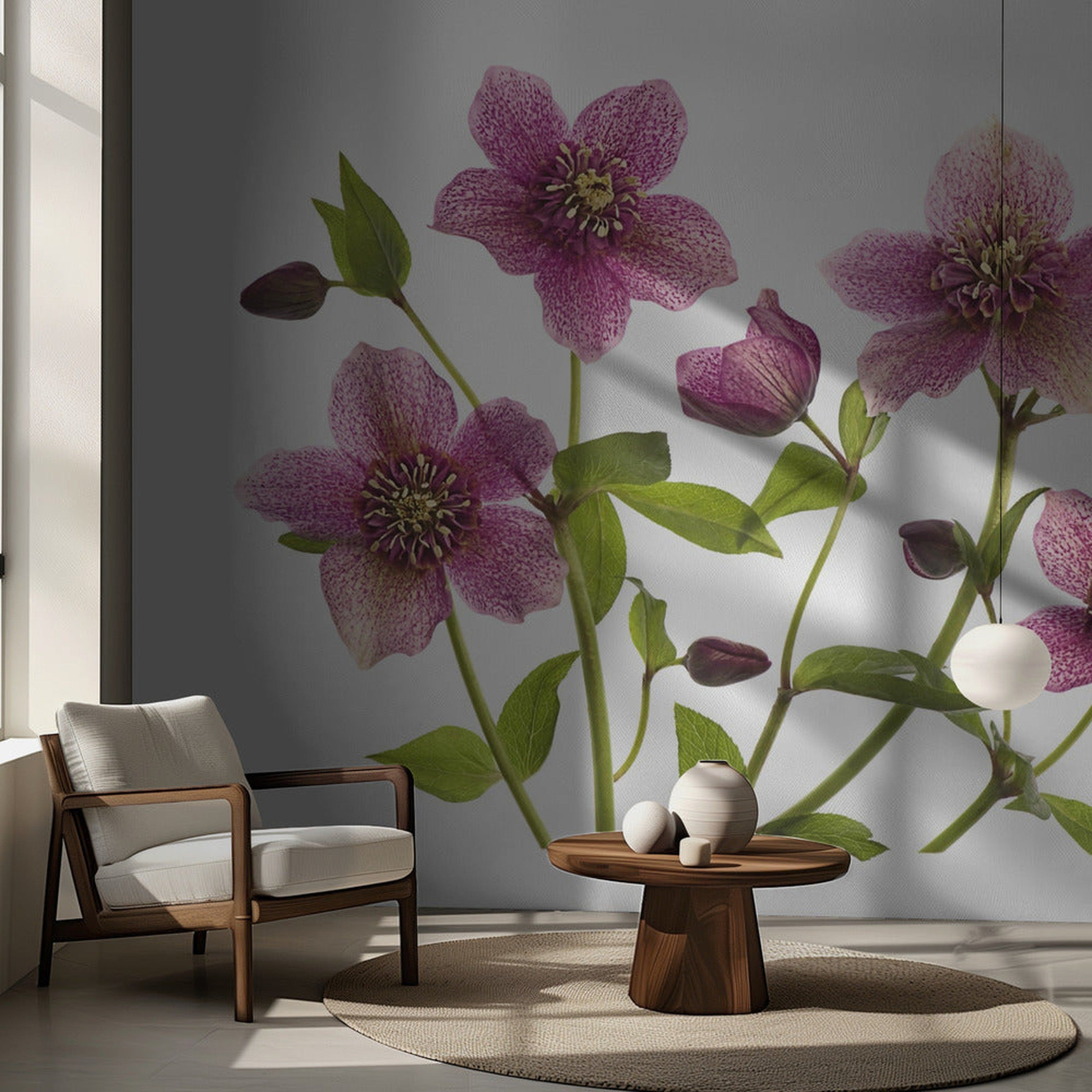 Helleborus x hybridus Tutu