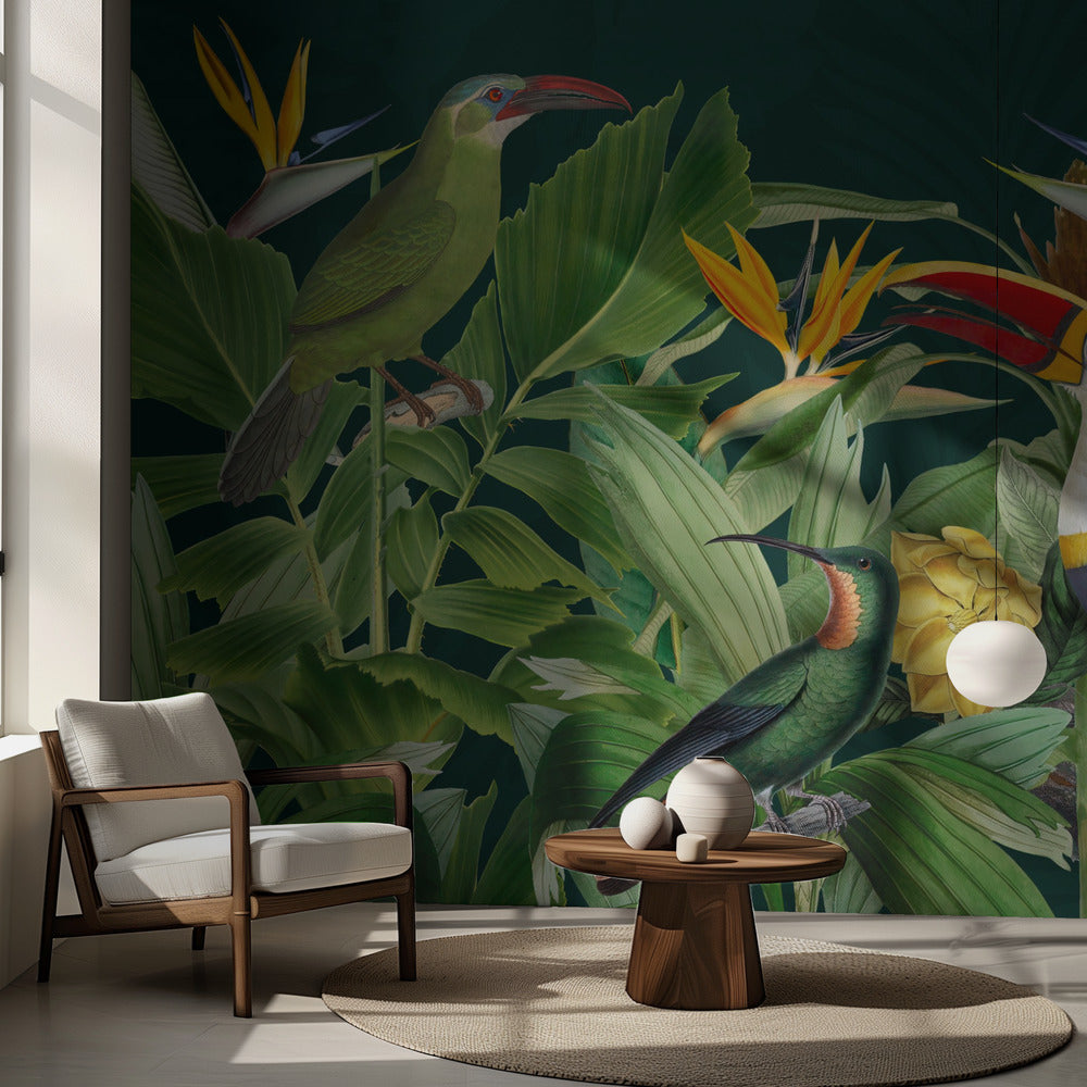Rainforest Birds – Exotisk fototapet med tropiska fåglar och lummig djungel