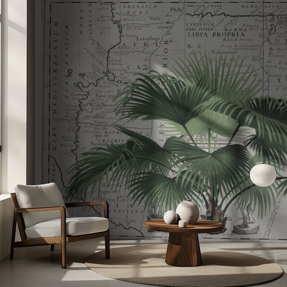 Tropical Empire No3