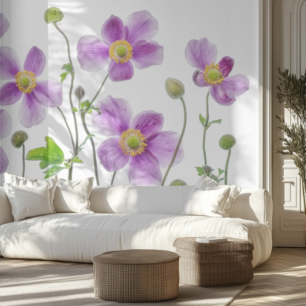 Anemone Japonica