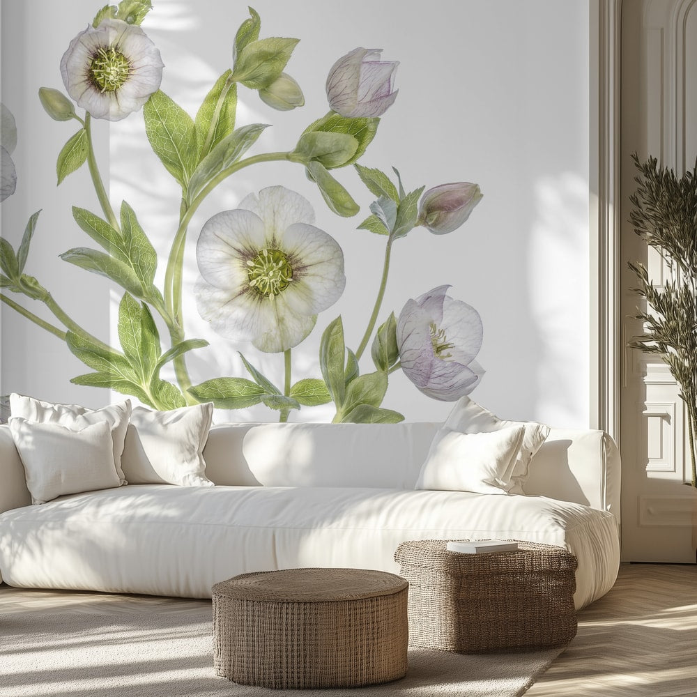 Hellebore