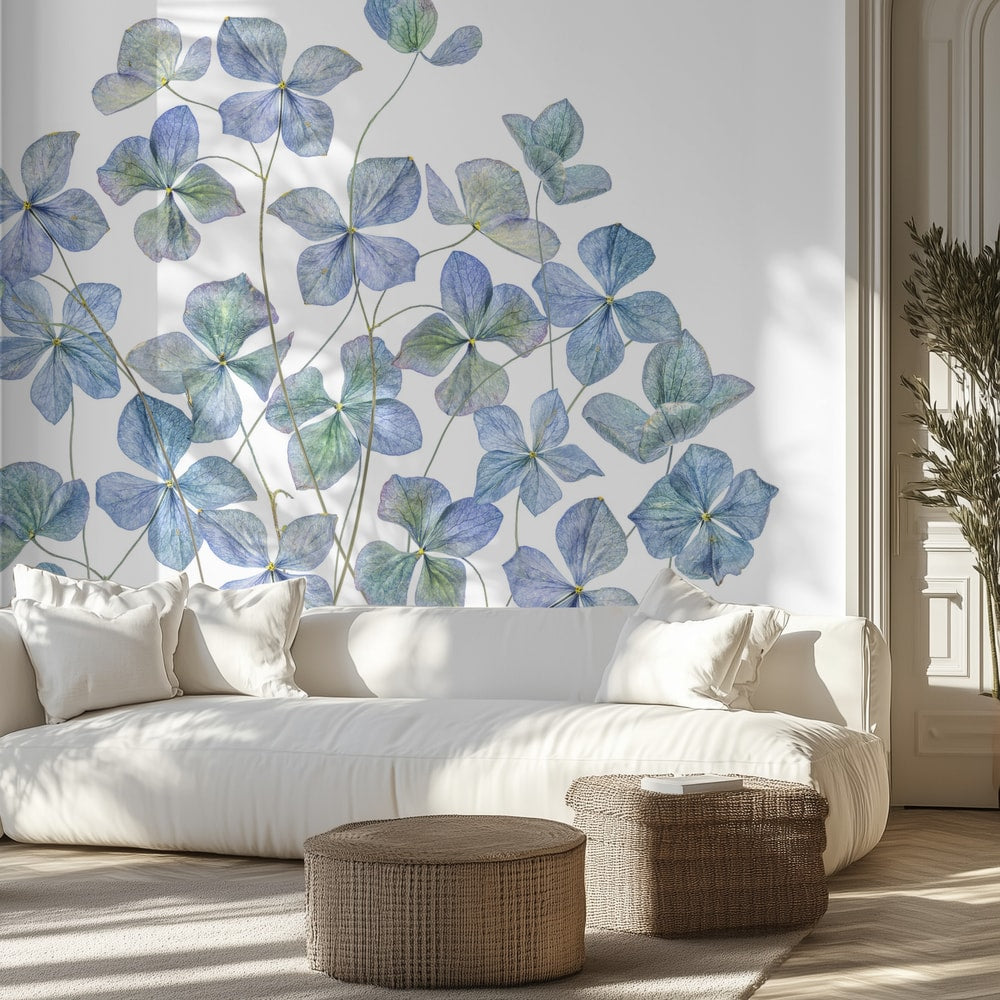 Hydrangea