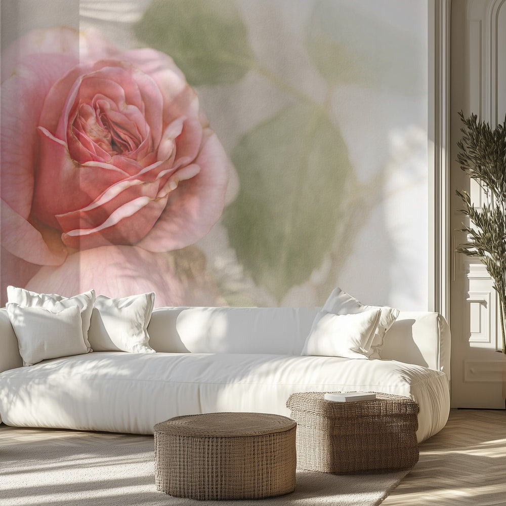 Soft Pink Rose