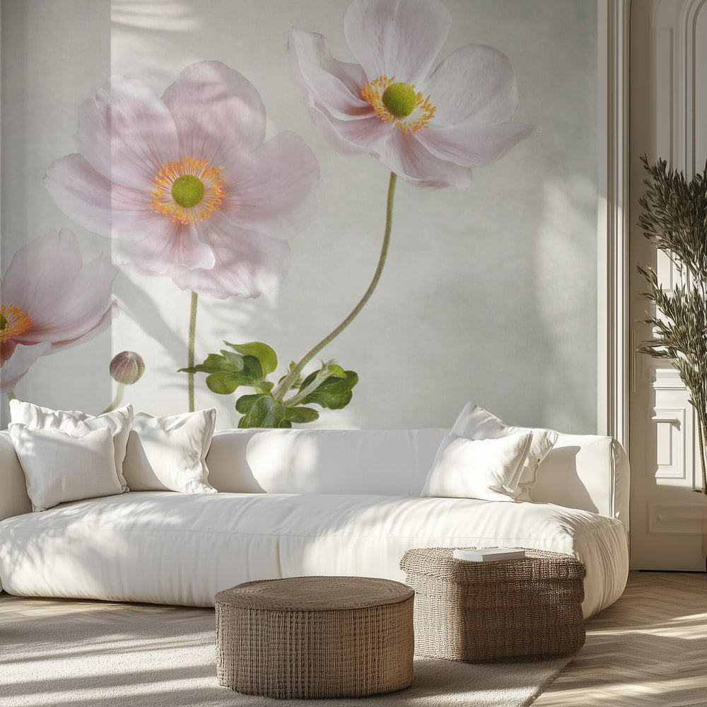 Anemones