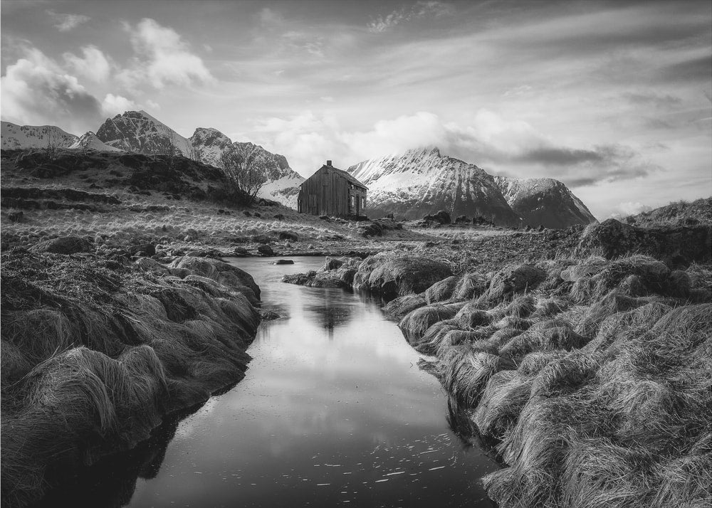 Mountain Stream Cabin
