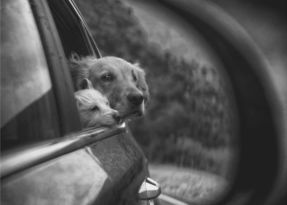 Roadtrip