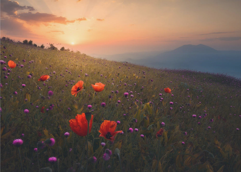 Rudbar Heights in Spring