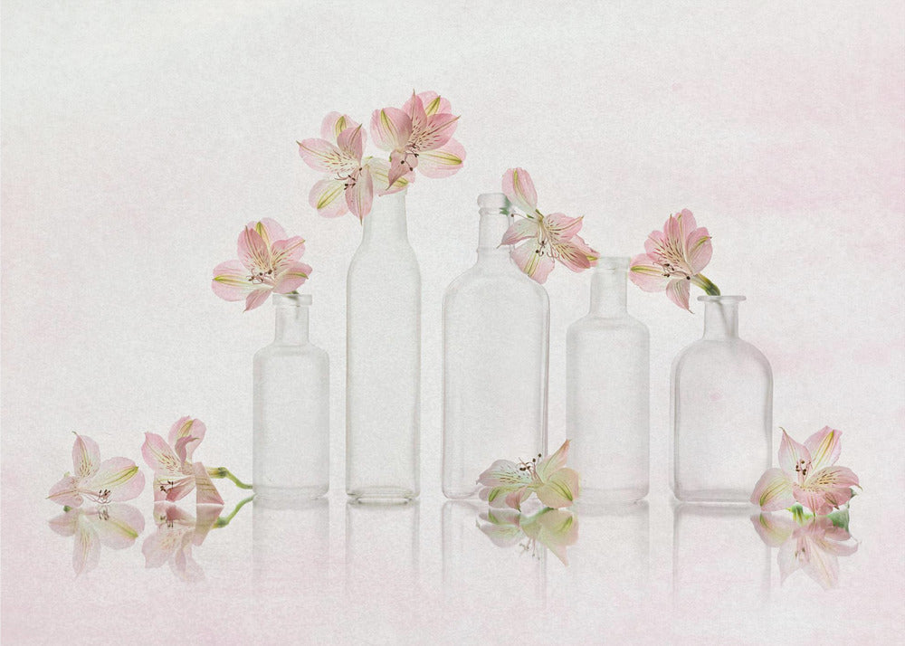 Peruvian-lily Gethering