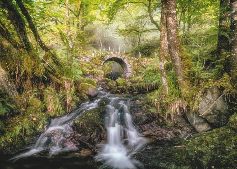 Enchanted Forest Stream Bridge