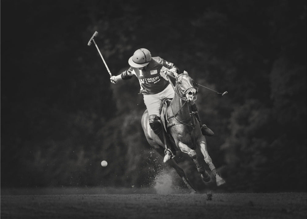 The Hit - Svartvit sporttapet