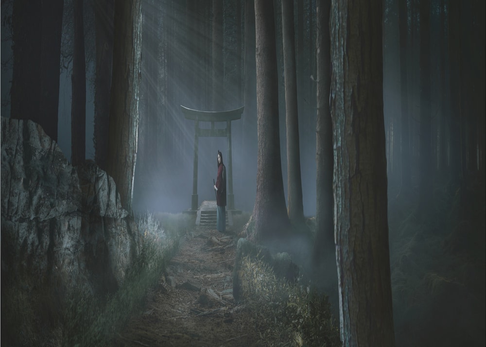Misty Forest Shrine