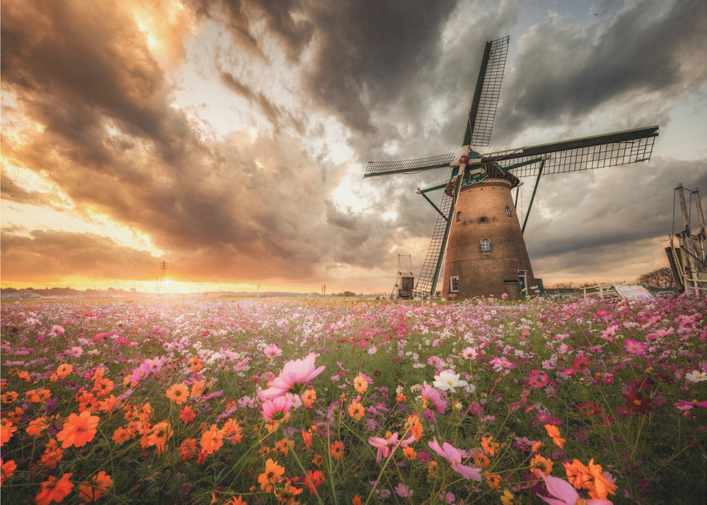 Magnificent flower world