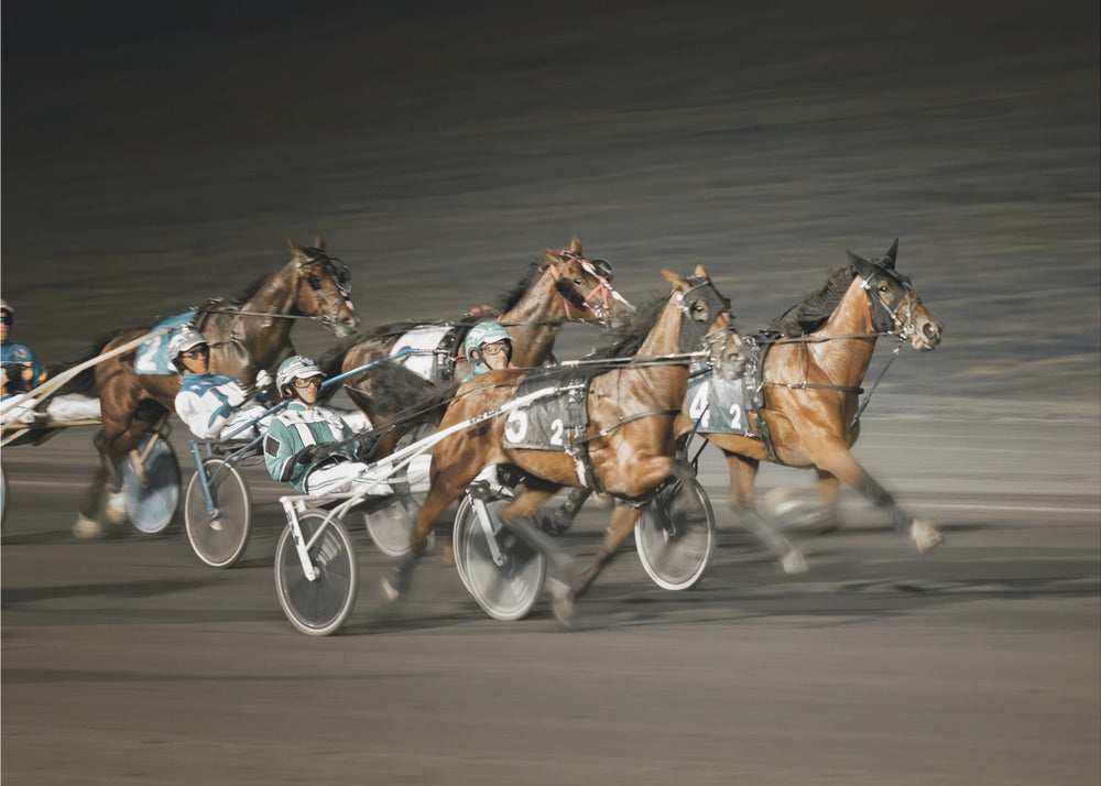 Horseracing - action från travbananbanan