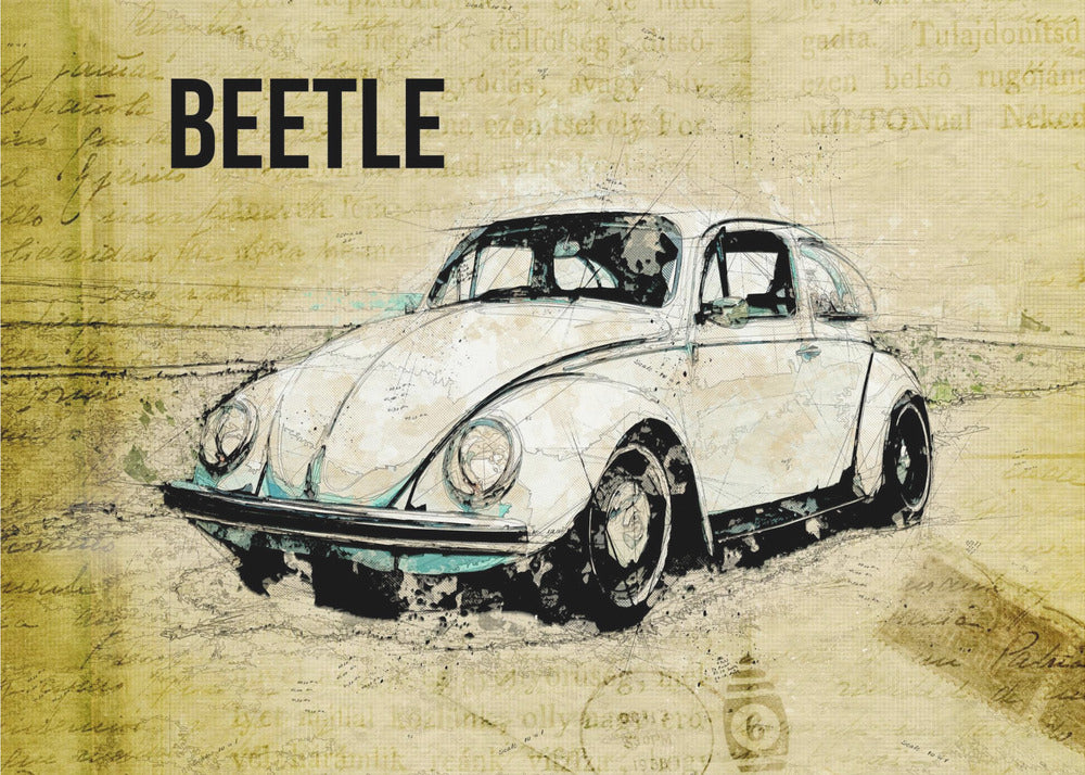 Volkswagen vw beetle