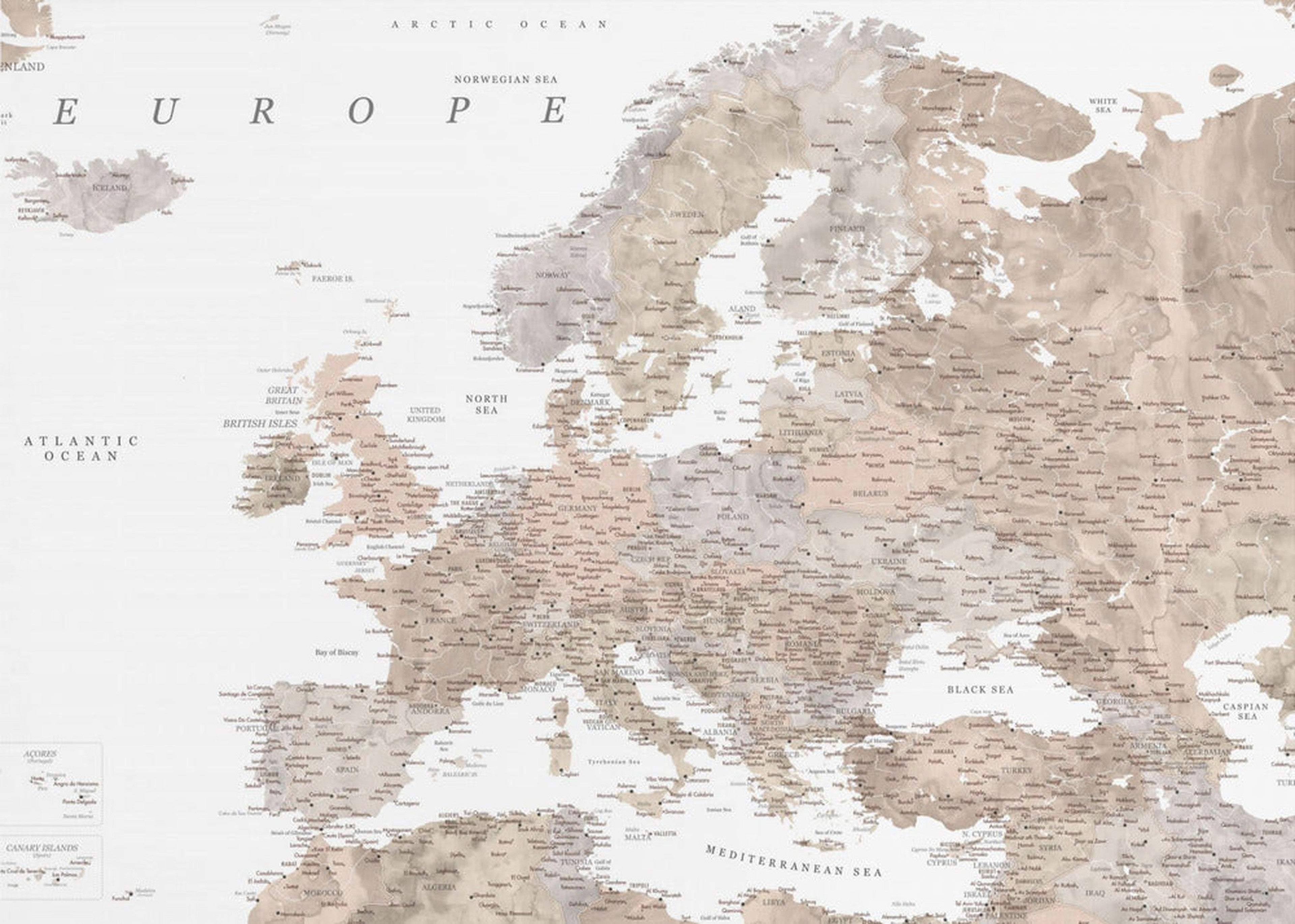 Taupe detailed map of Europe
