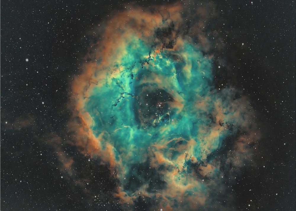 Cosmic Nebula Bloom