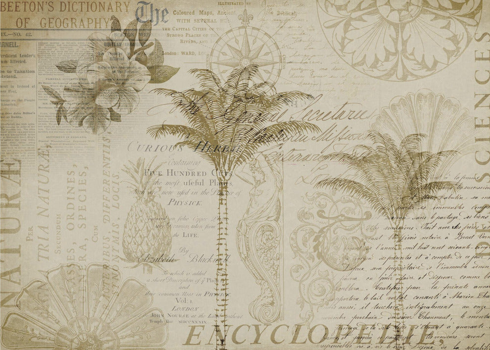Tropical Encyclopedia