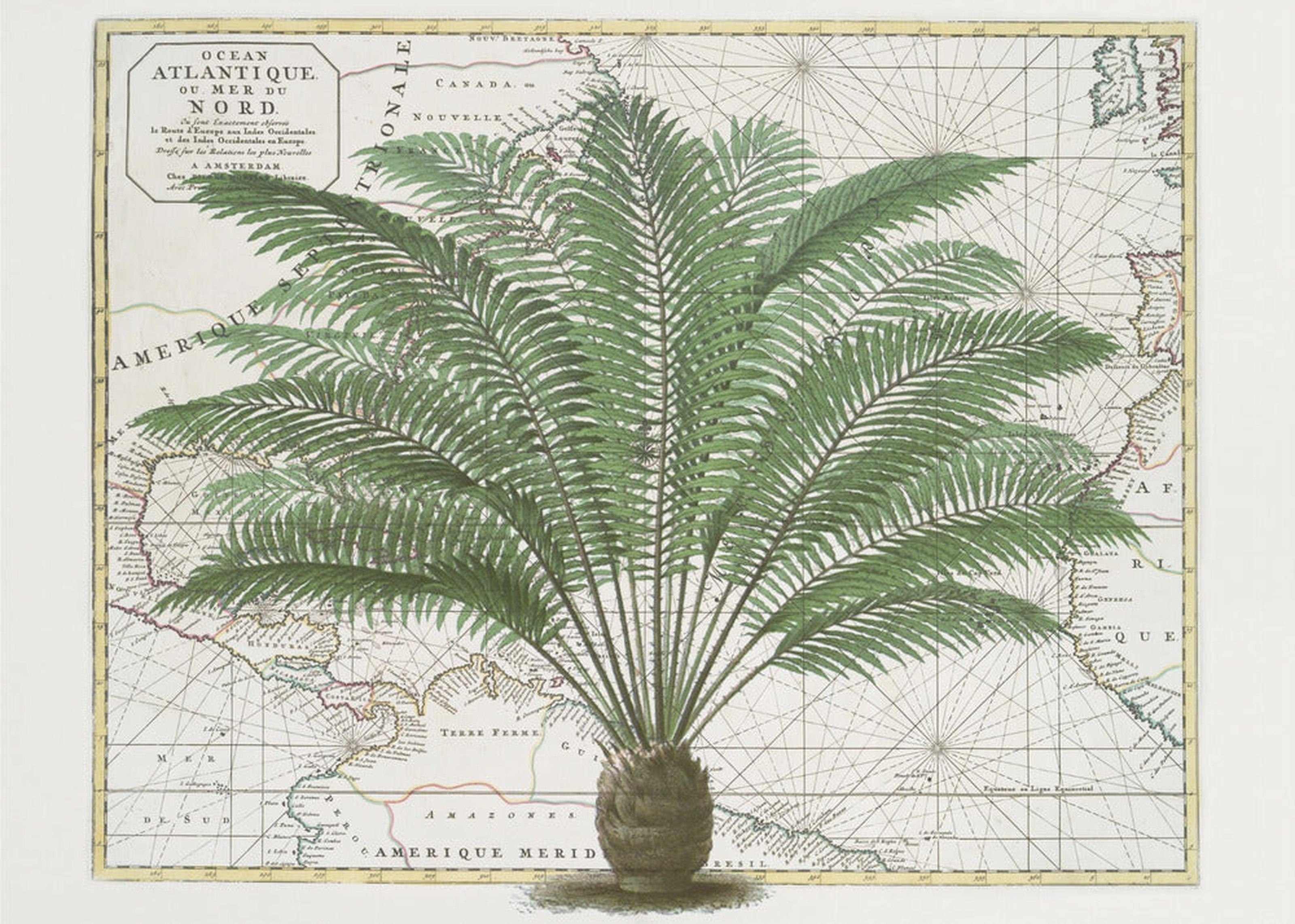 Tropical Empire No5
