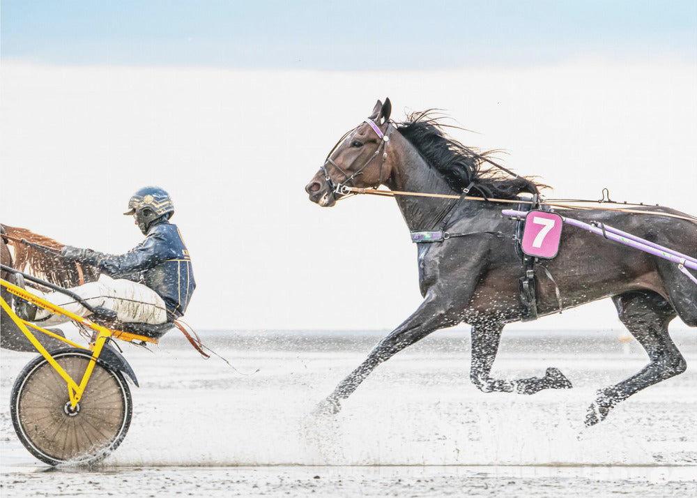 The Follower - fart från travbanan