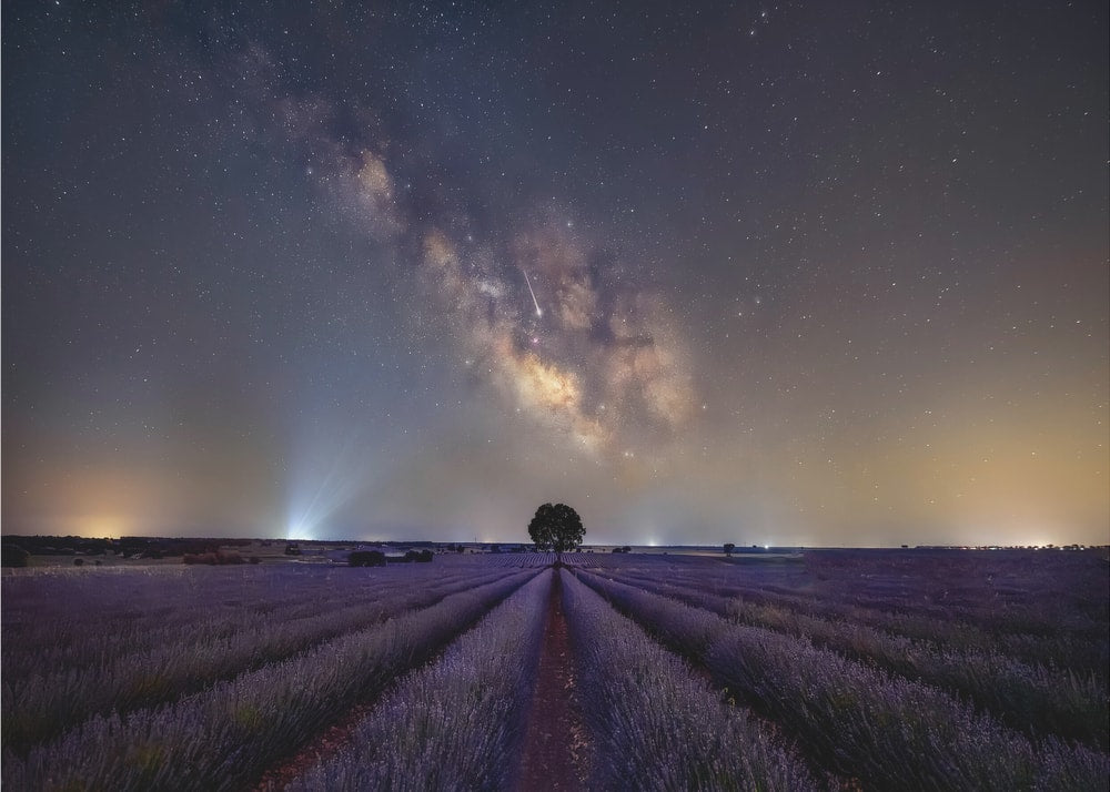 Milky Way Lavender Night