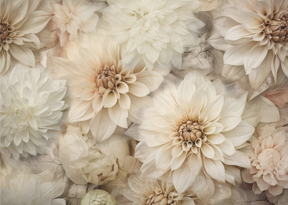 Fa Vintage Floral 84 - Romantiska Pioner