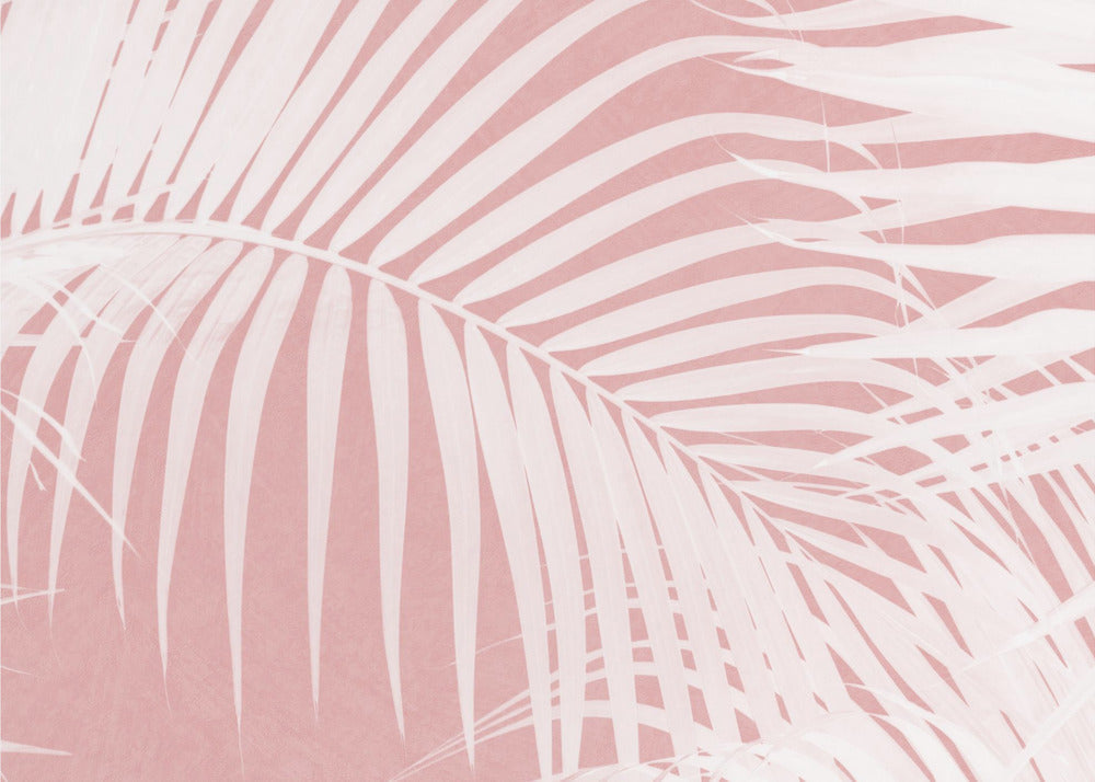 Palm Leaves On Pink Silhouette IV