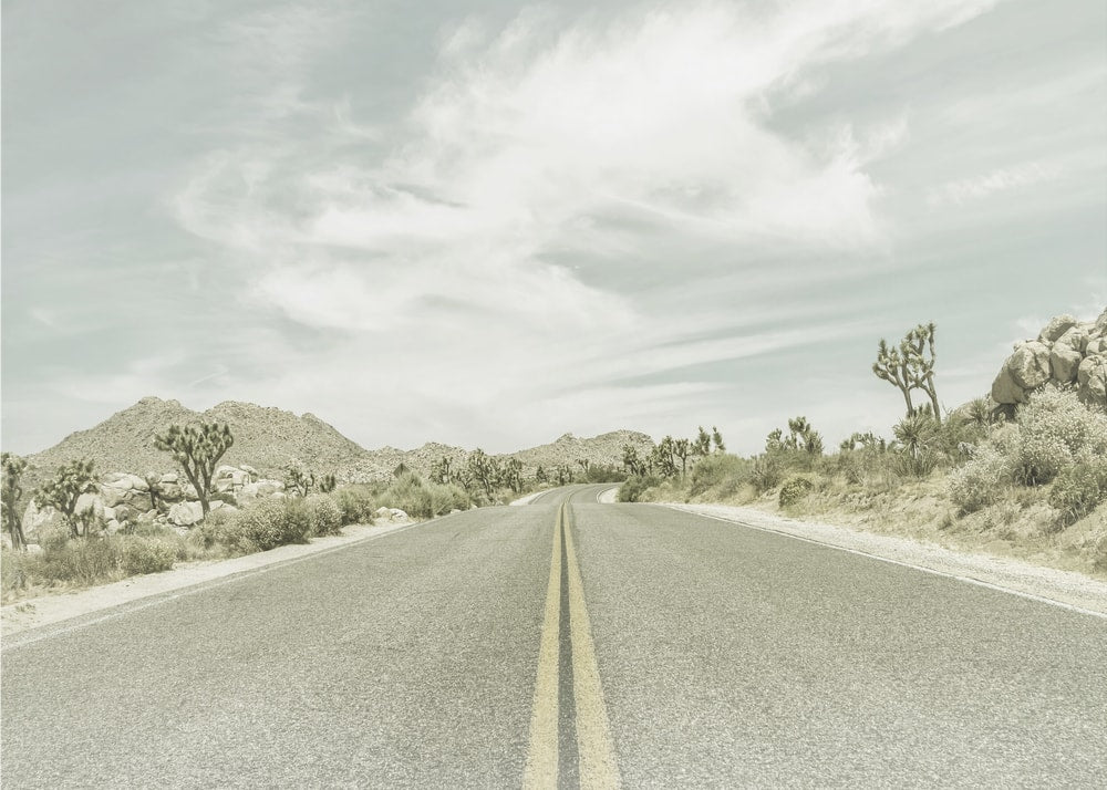 Long Desert Road