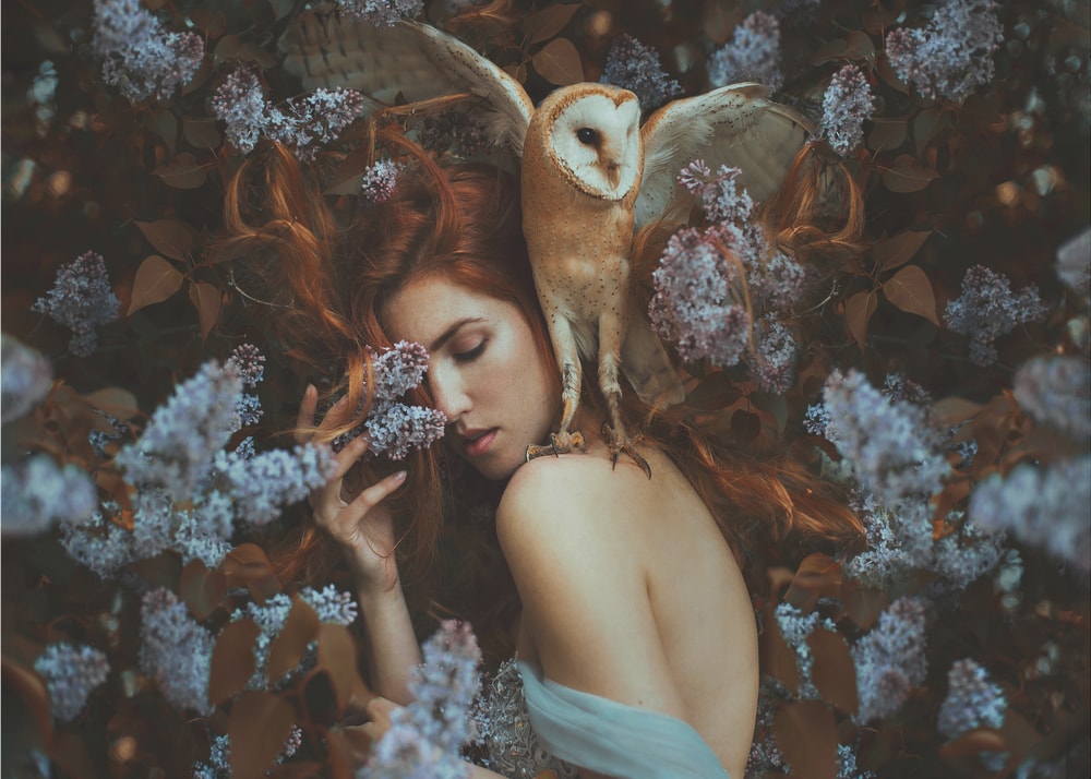 Enchanted Woman Barn Owl