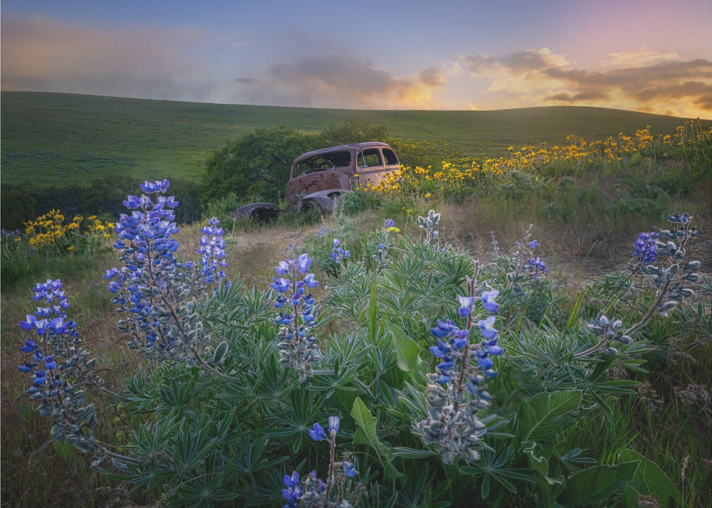 Years – Poetisk fototapet med övergiven bil och vårblommor