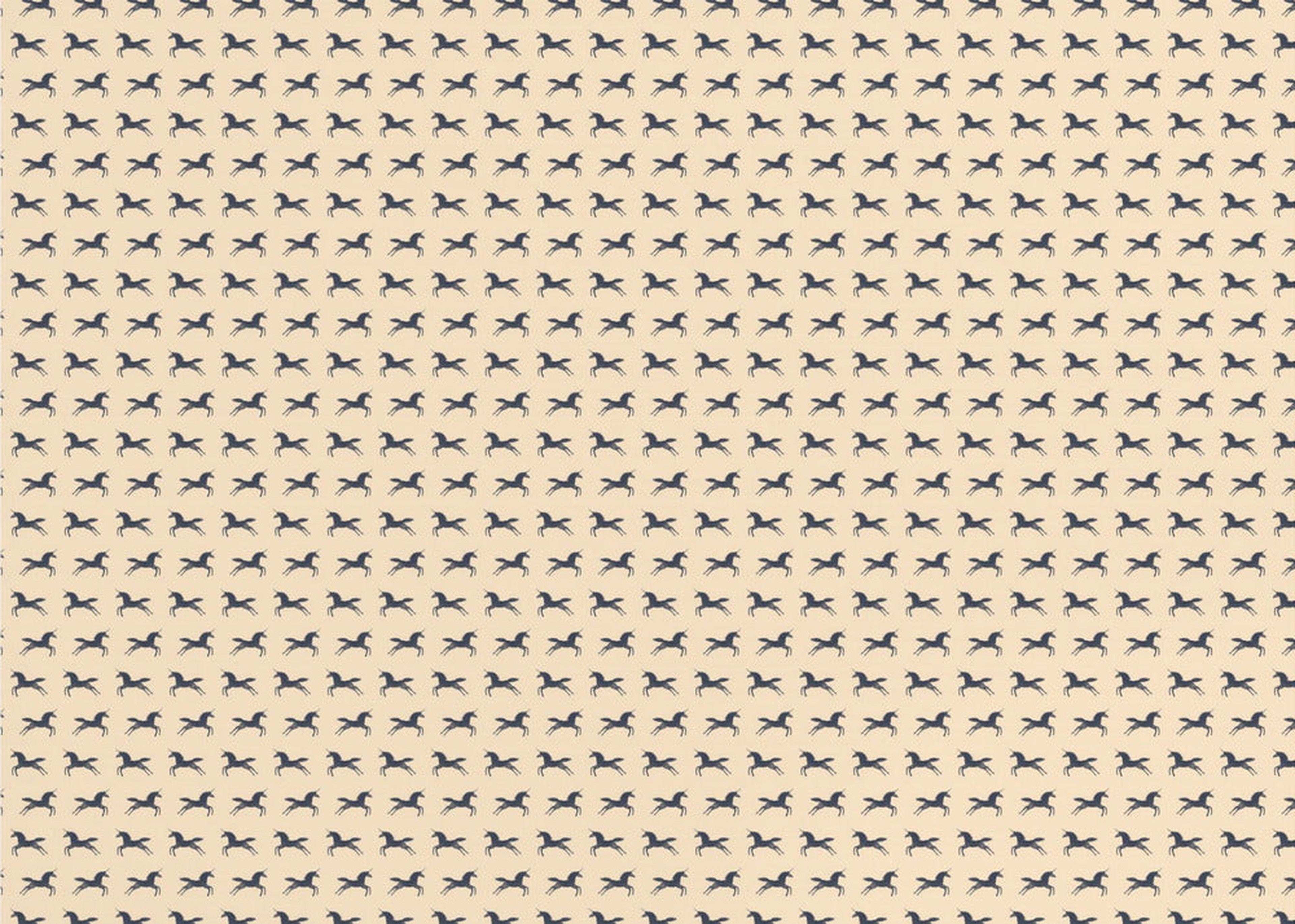 Unicorns Are Real Nº2