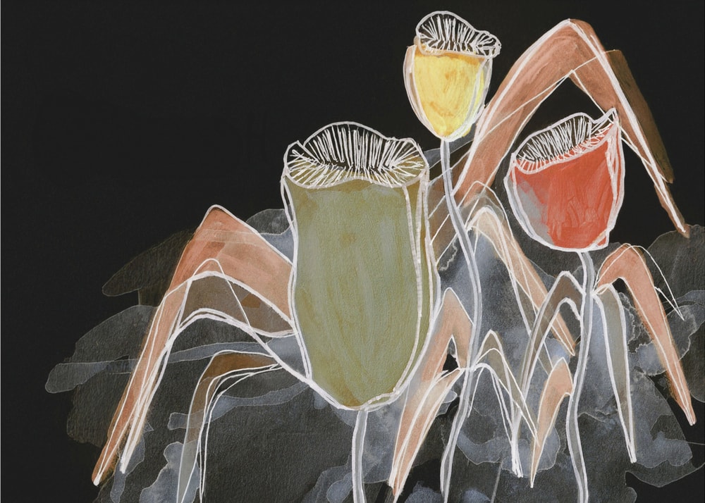 Dark Botanical Pods