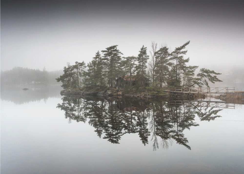 Misty Island Reflections