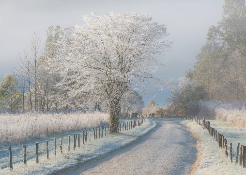 Frosty Winter Road