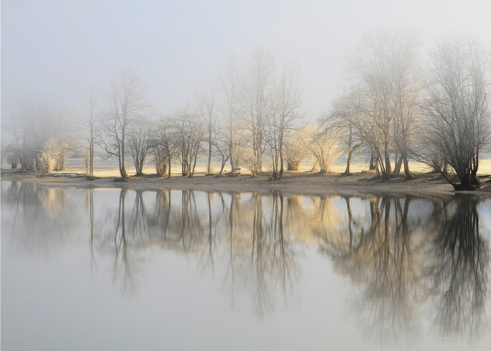 Misty Winter Reflections