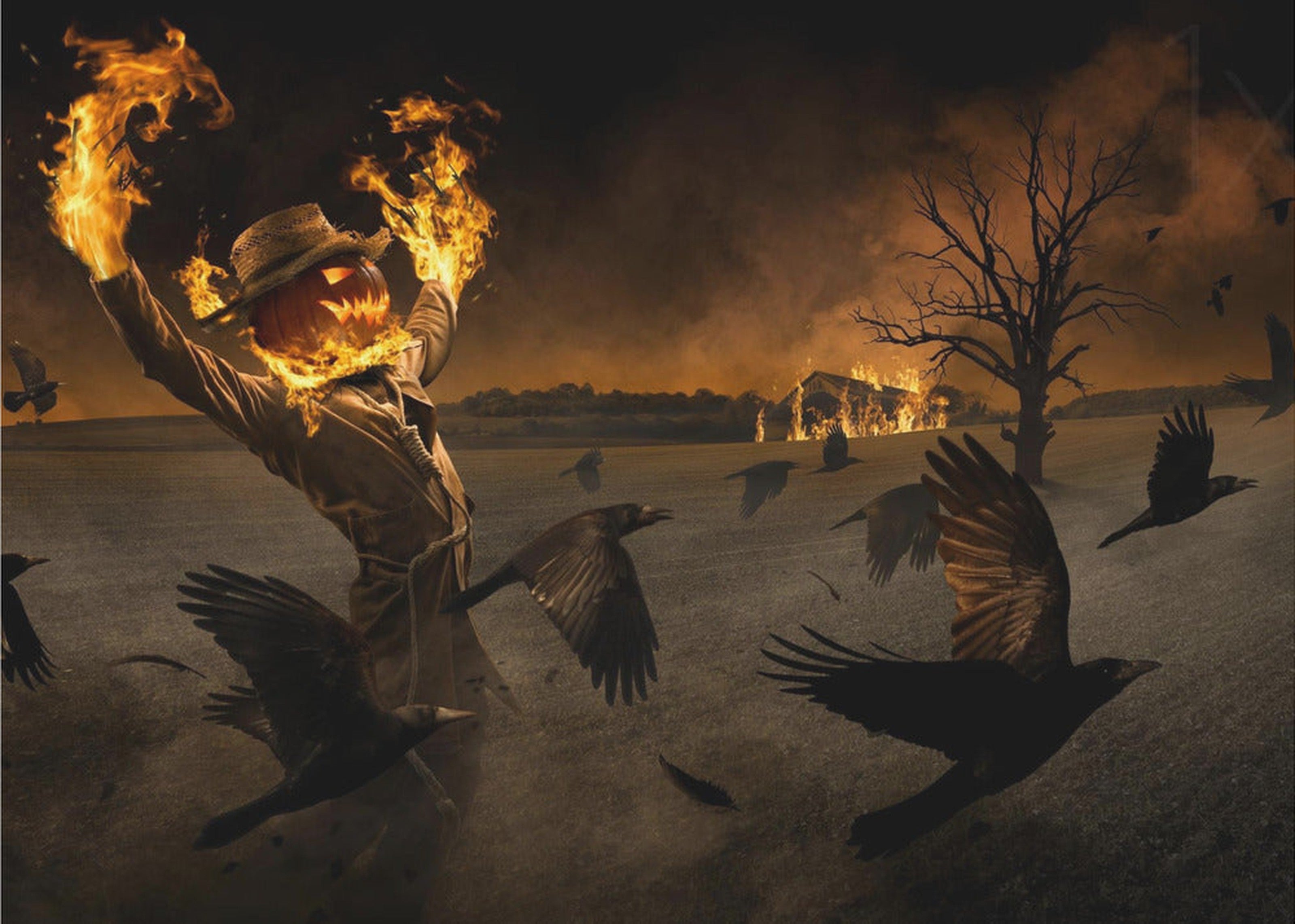 Jack-o\'-Scarecrow