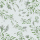 Spiraea - Ashy grey