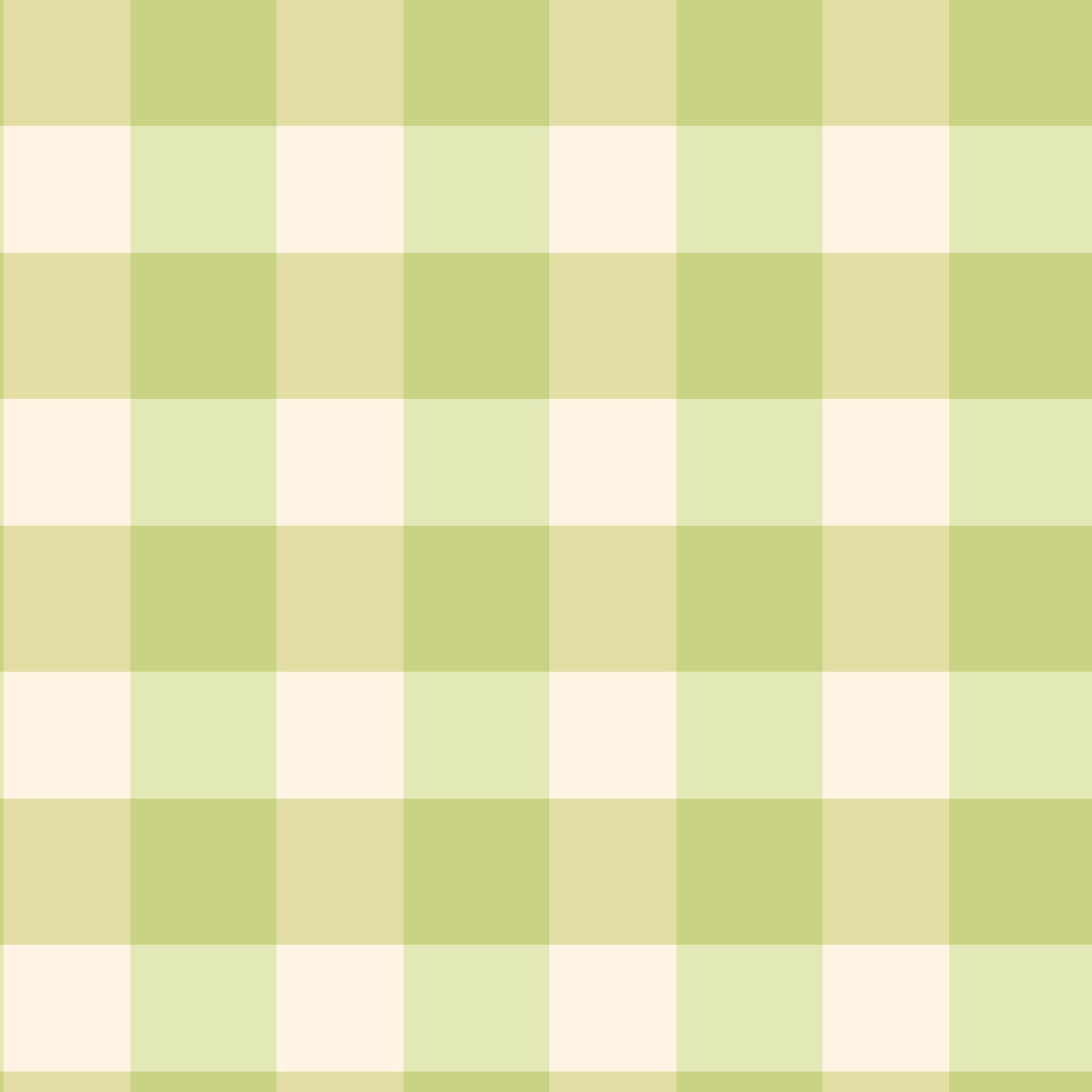 Gingham - Mint