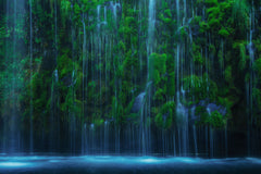 Wall mural Mossbrae – fototapet med unikt motiv som skapar en inspirerande fondvägg