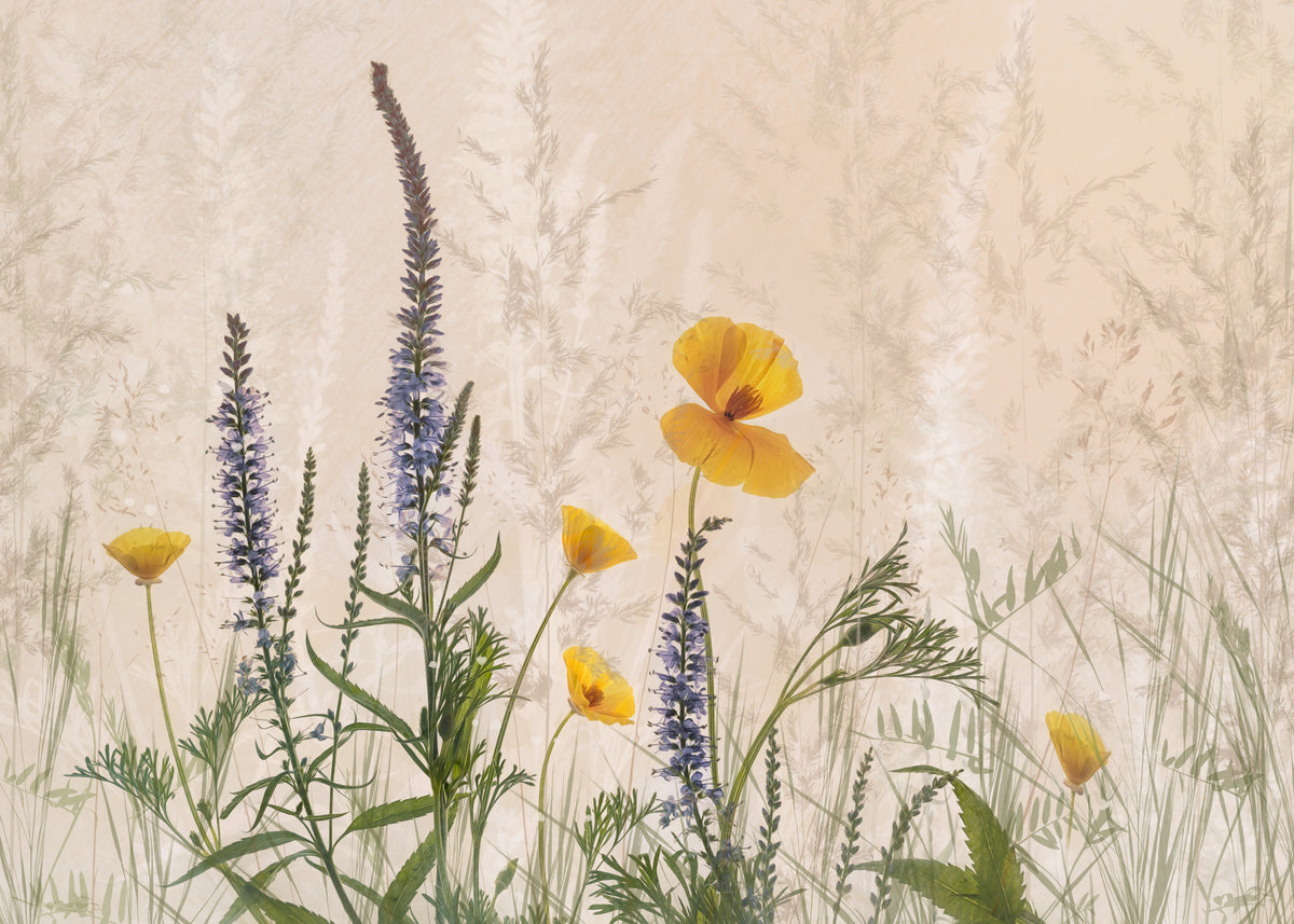 Drømmer om blomster