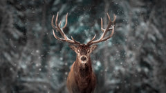 Wall mural Deer King – fototapet med unikt motiv som skapar en inspirerande fondvägg