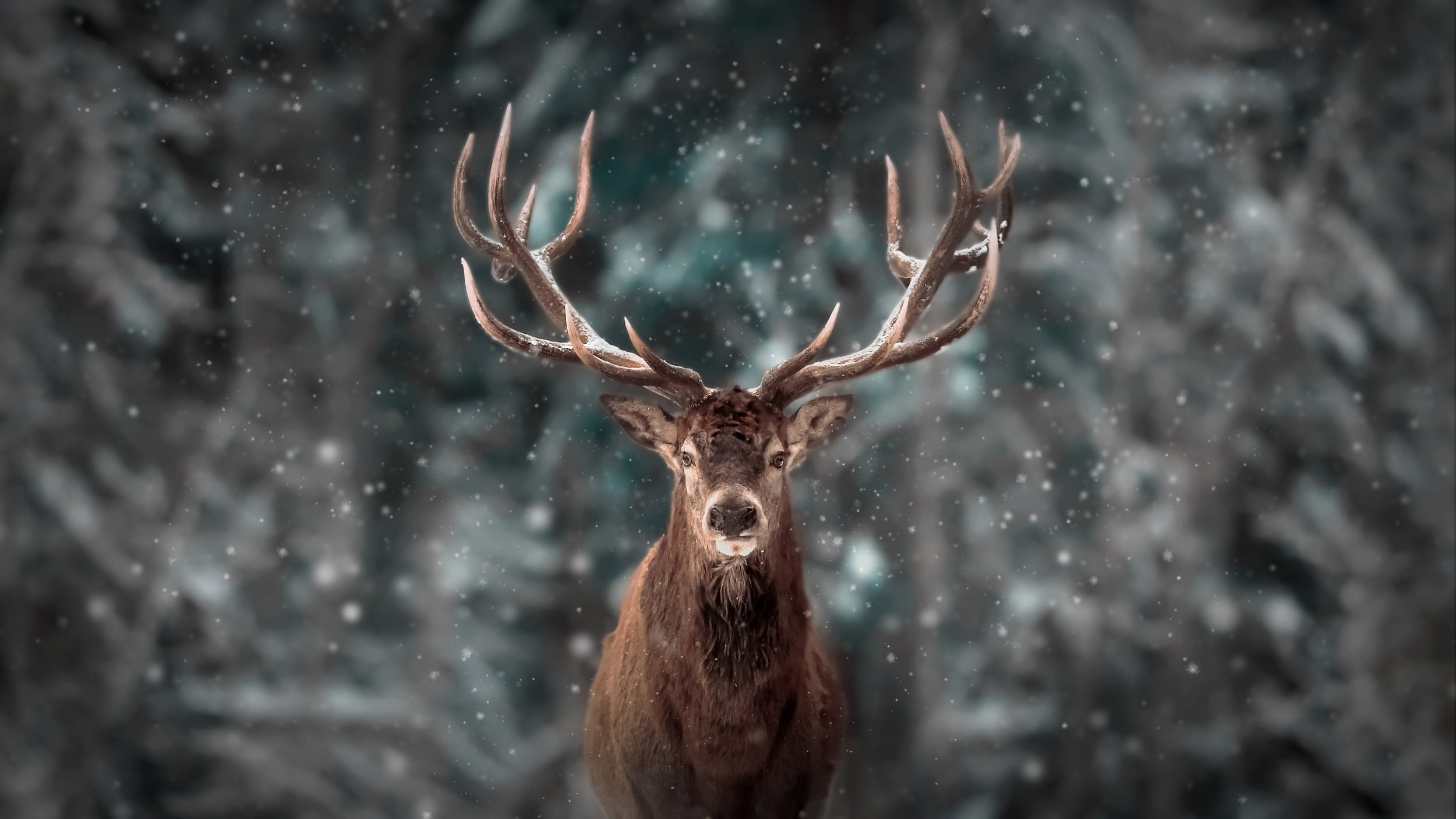 Deer King