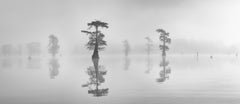Wall mural Rhythm in the fog – fototapet med unikt motiv som skapar en inspirerande fondvägg