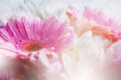 Wall mural Ombre42flower – fototapet med unikt motiv som skapar en inspirerande fondvägg
