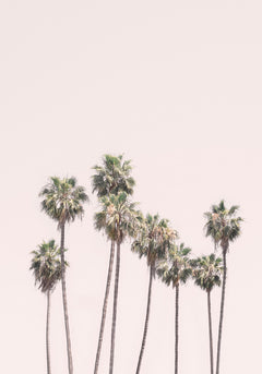 Wall mural Blush Palms – fototapet med unikt motiv som skapar en inspirerande fondvägg
