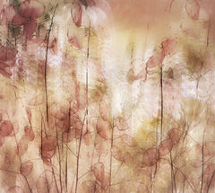 Wall mural Seed pods – fototapet med unikt motiv som skapar en inspirerande fondvägg